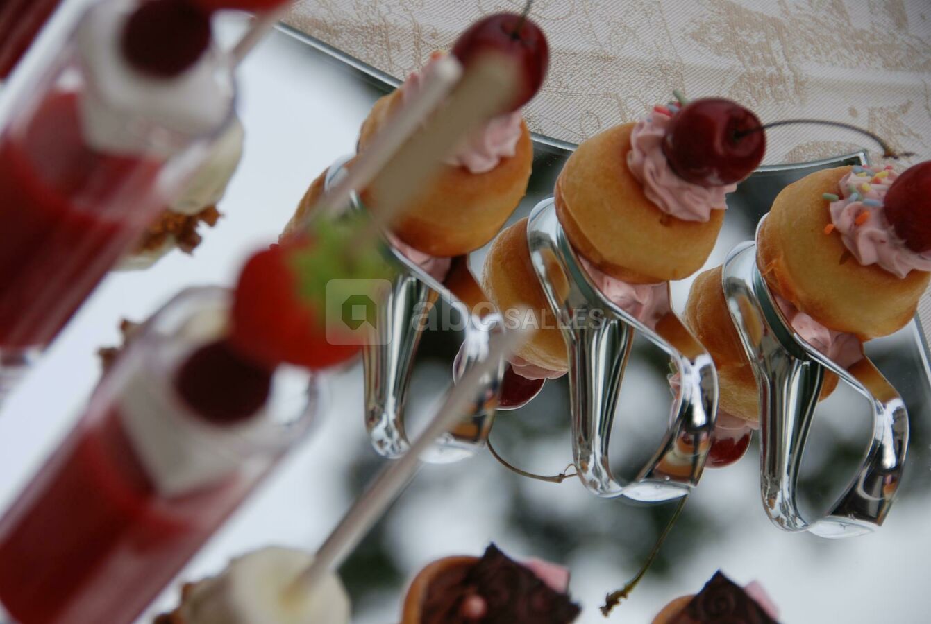 Château des Aveniéres