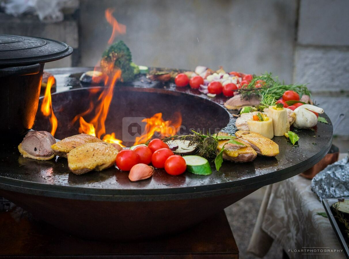 Château des Aveniéres