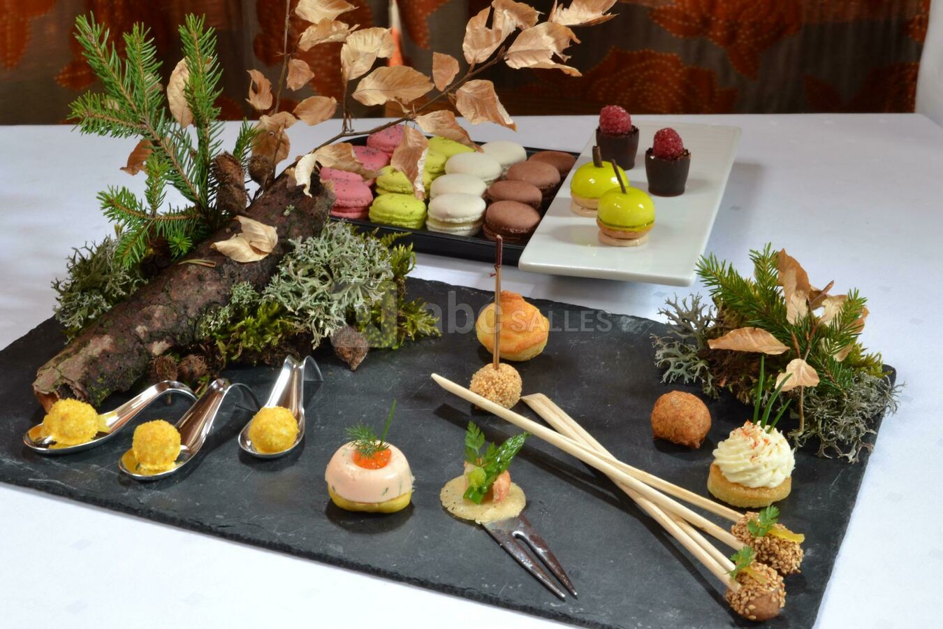 Château des Aveniéres