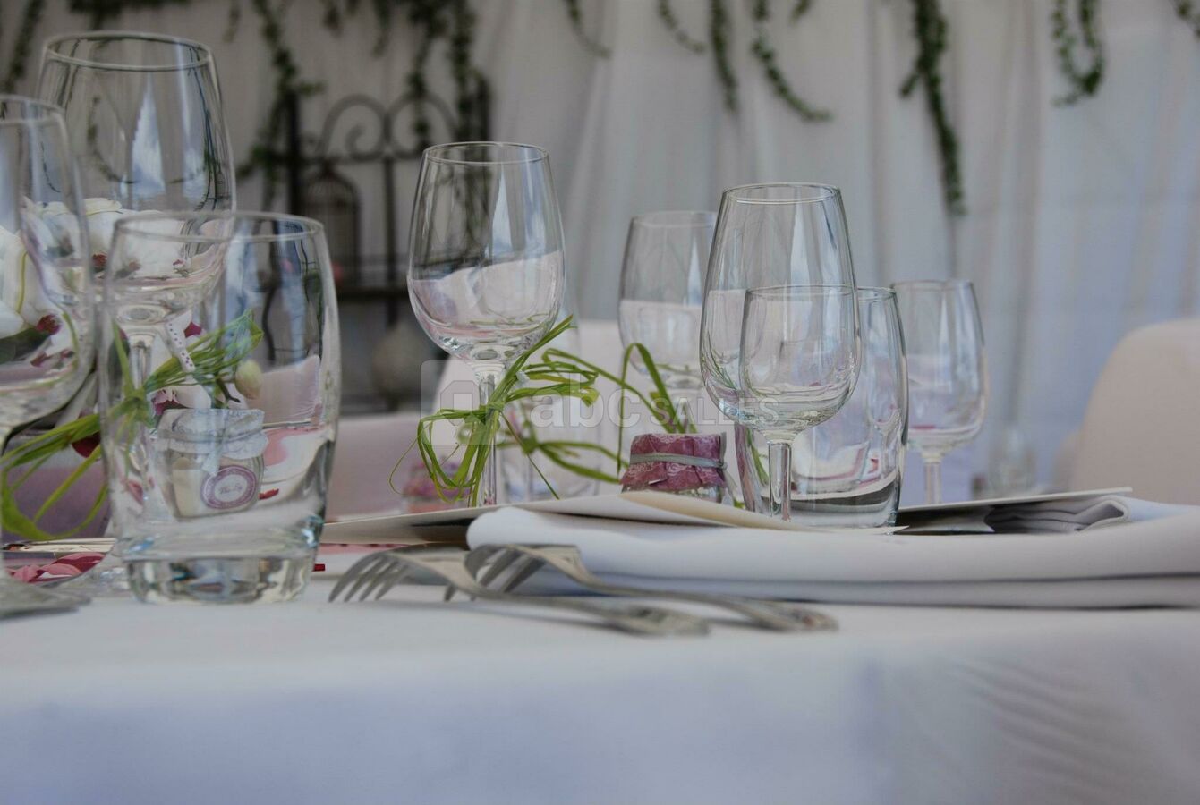 Château des Aveniéres