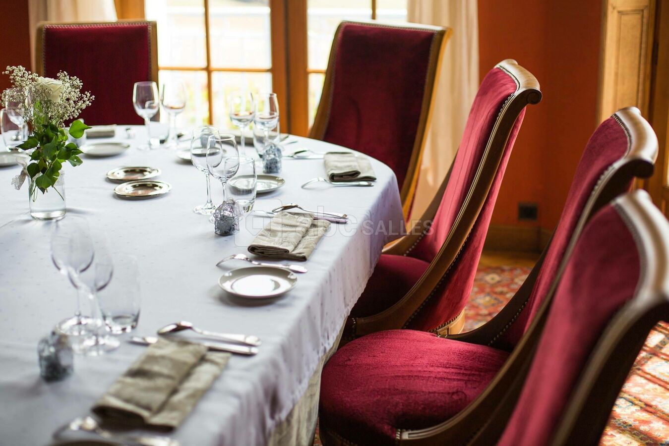 Château des Aveniéres