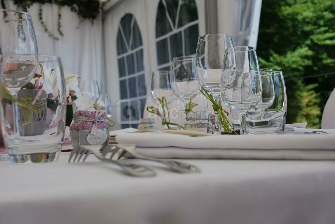 Château des Aveniéres