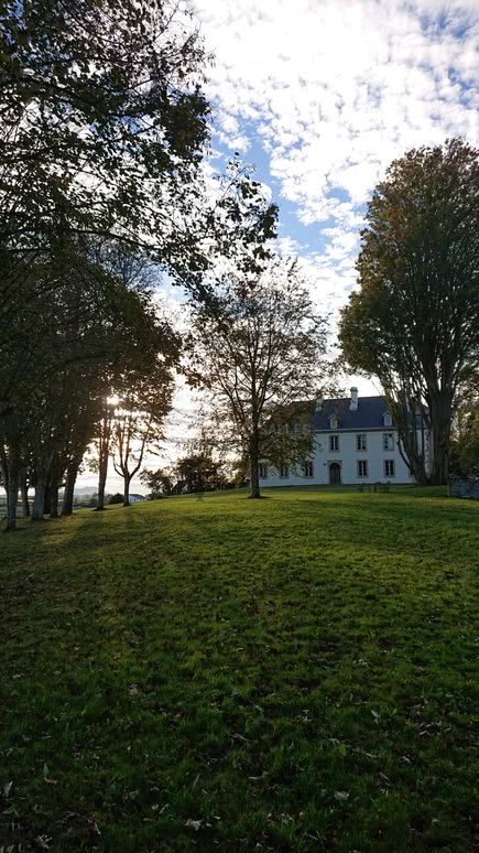 Le Château vu du Parc