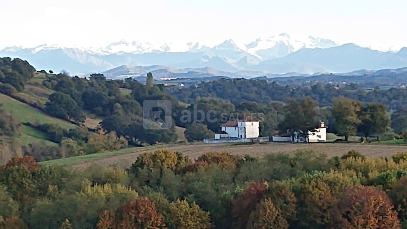 Vue sur les Pyrénées depuis le parc