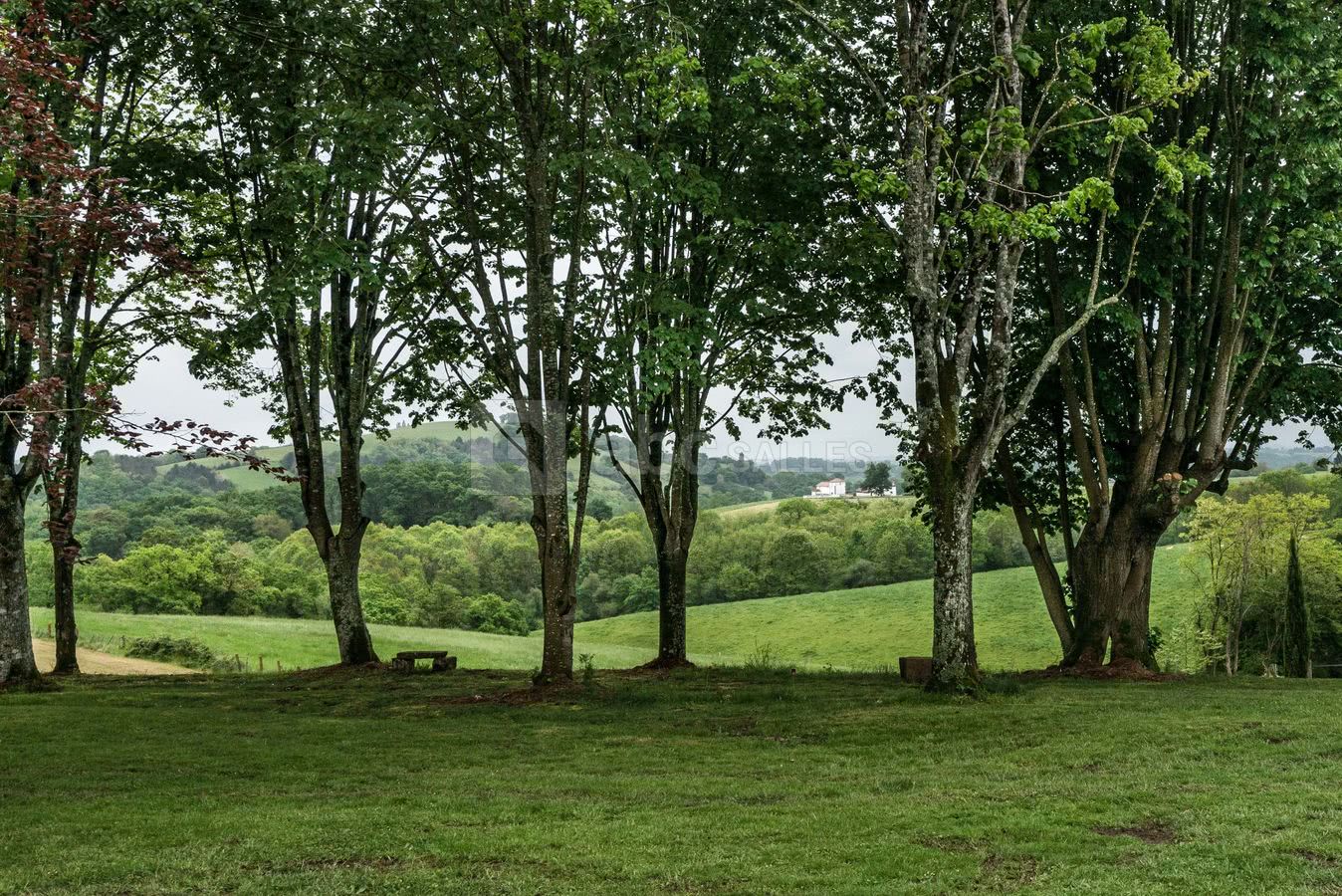 L'allée des tilleuls