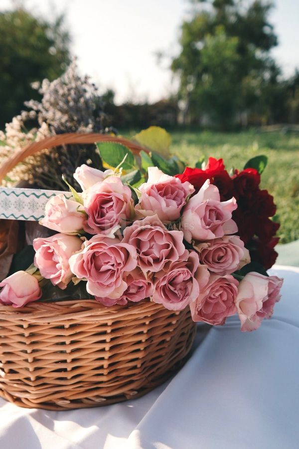 Un bouquet sur la pelouse