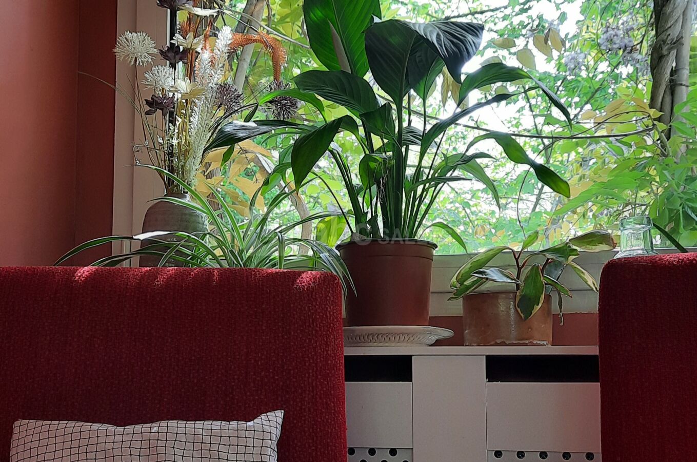 Salon sur jardin