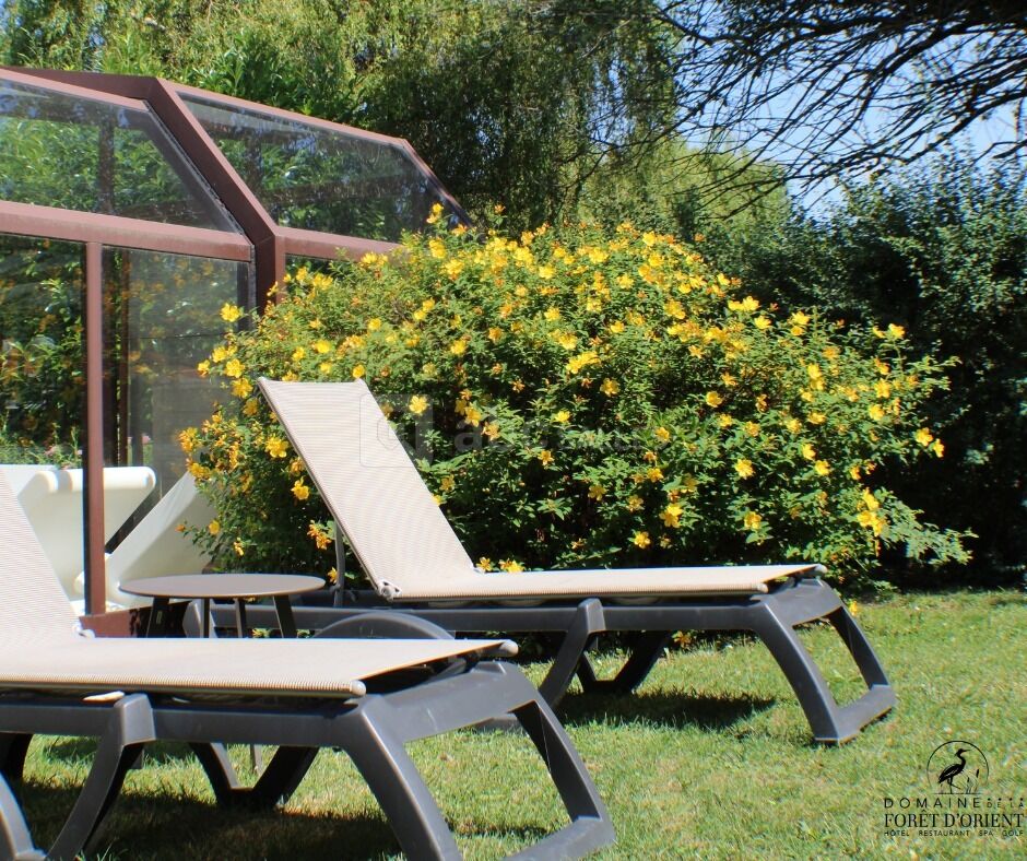 Le jardin de notre piscine