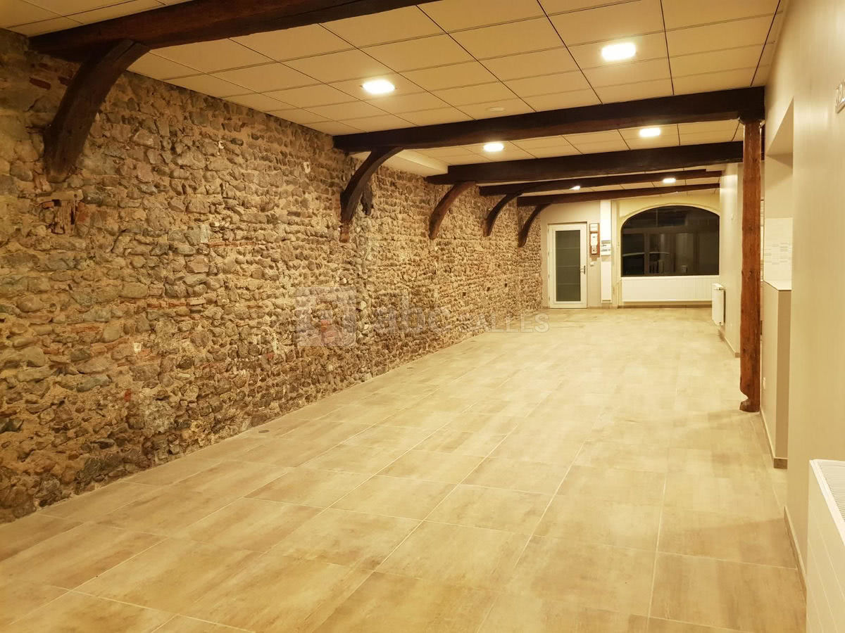 Salle avec mur ancien en pierre