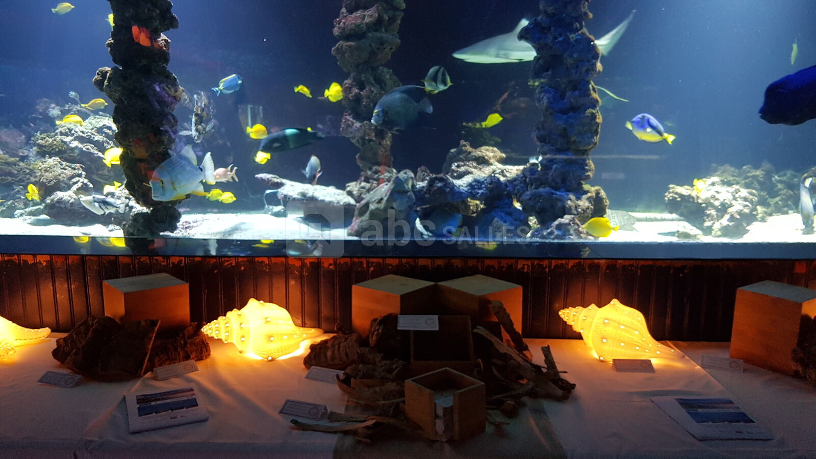Aquarium - Cocktail