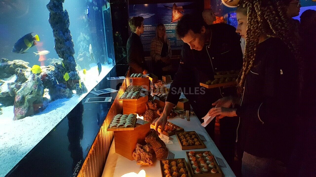 Aquarium - Cocktail