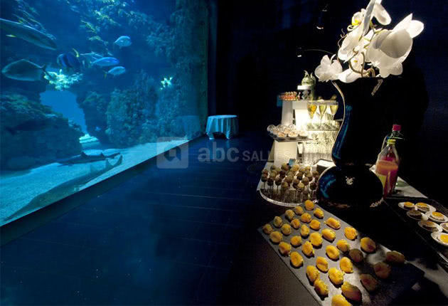 Aquarium - Cocktail