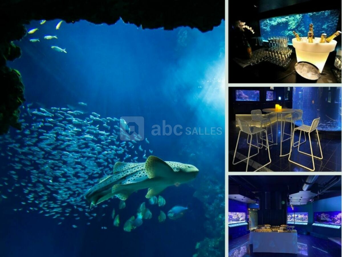 Aquariums