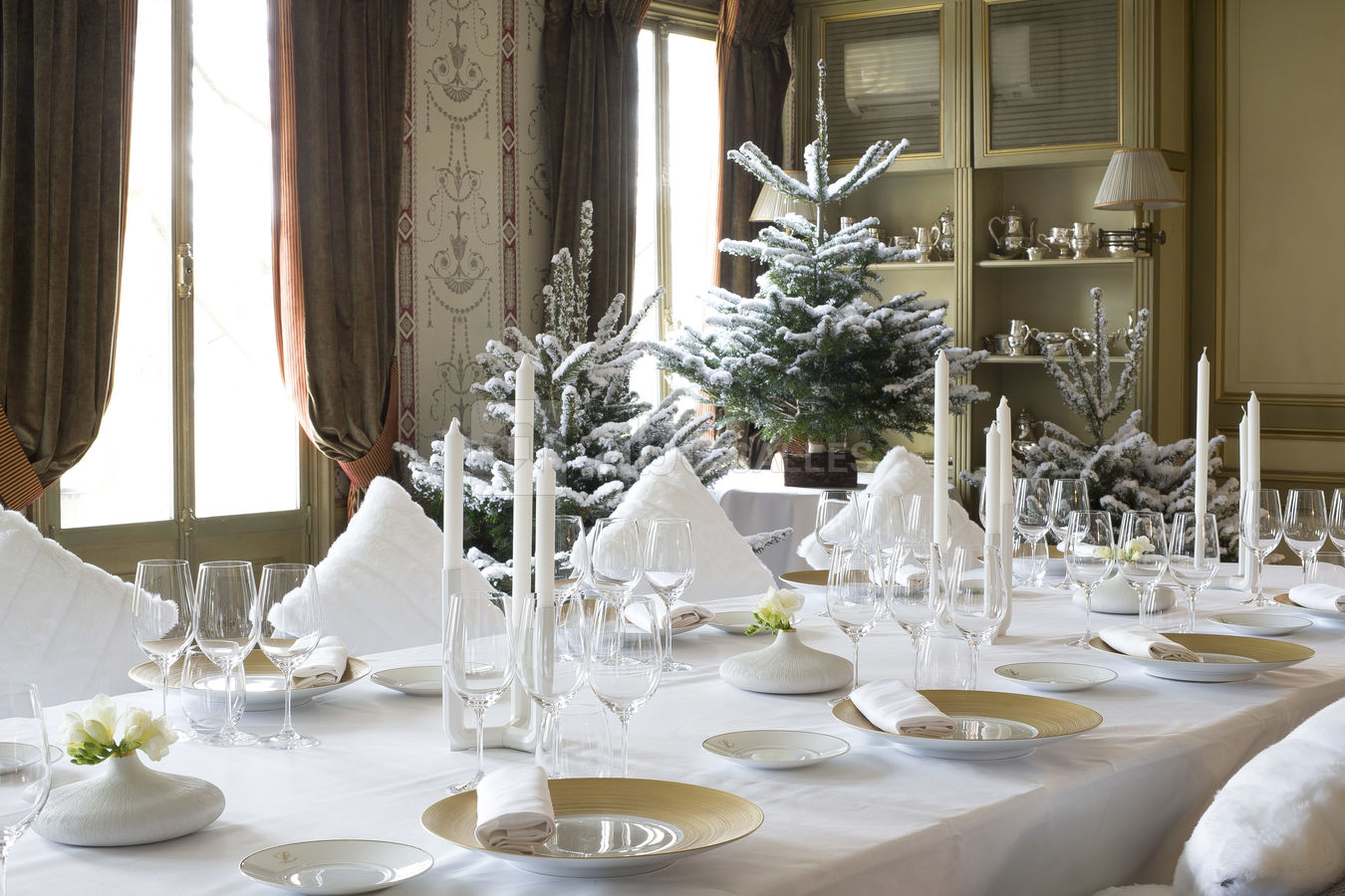 Salon Cariatide Hiver