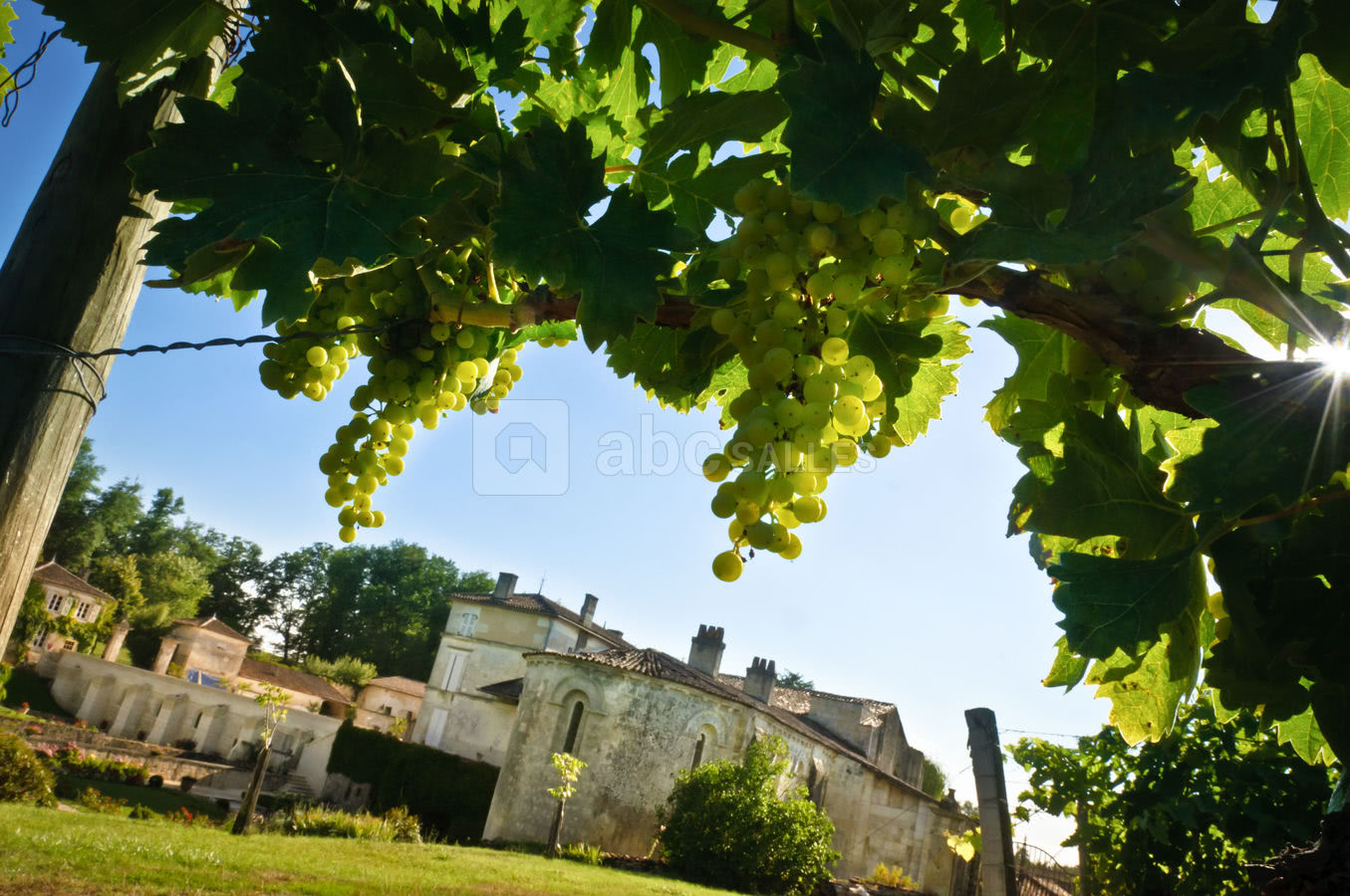 Fontdouce vue des vignes