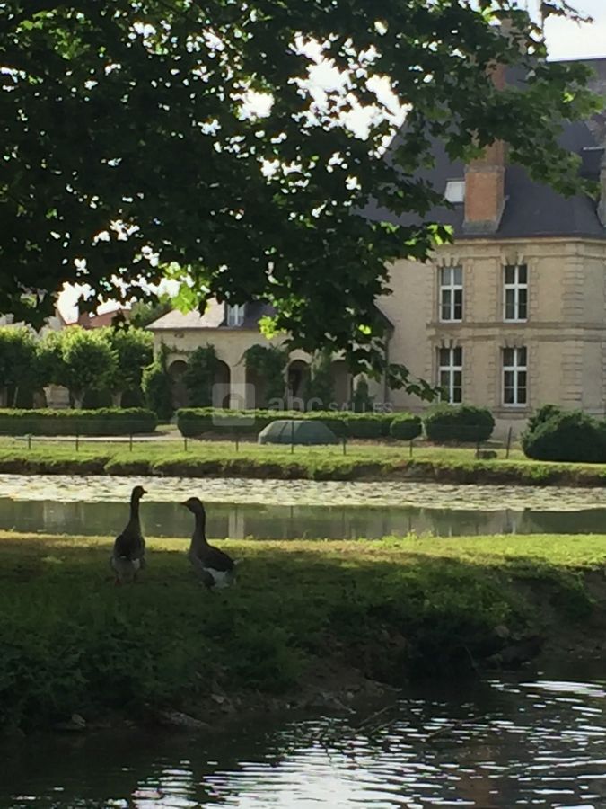 Bords de l'étang du château