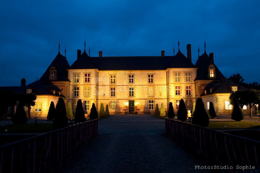 Chateau de Vitry by night