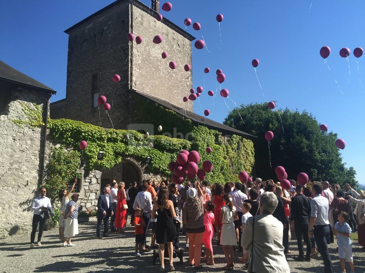 Domaine du Château de la Rive