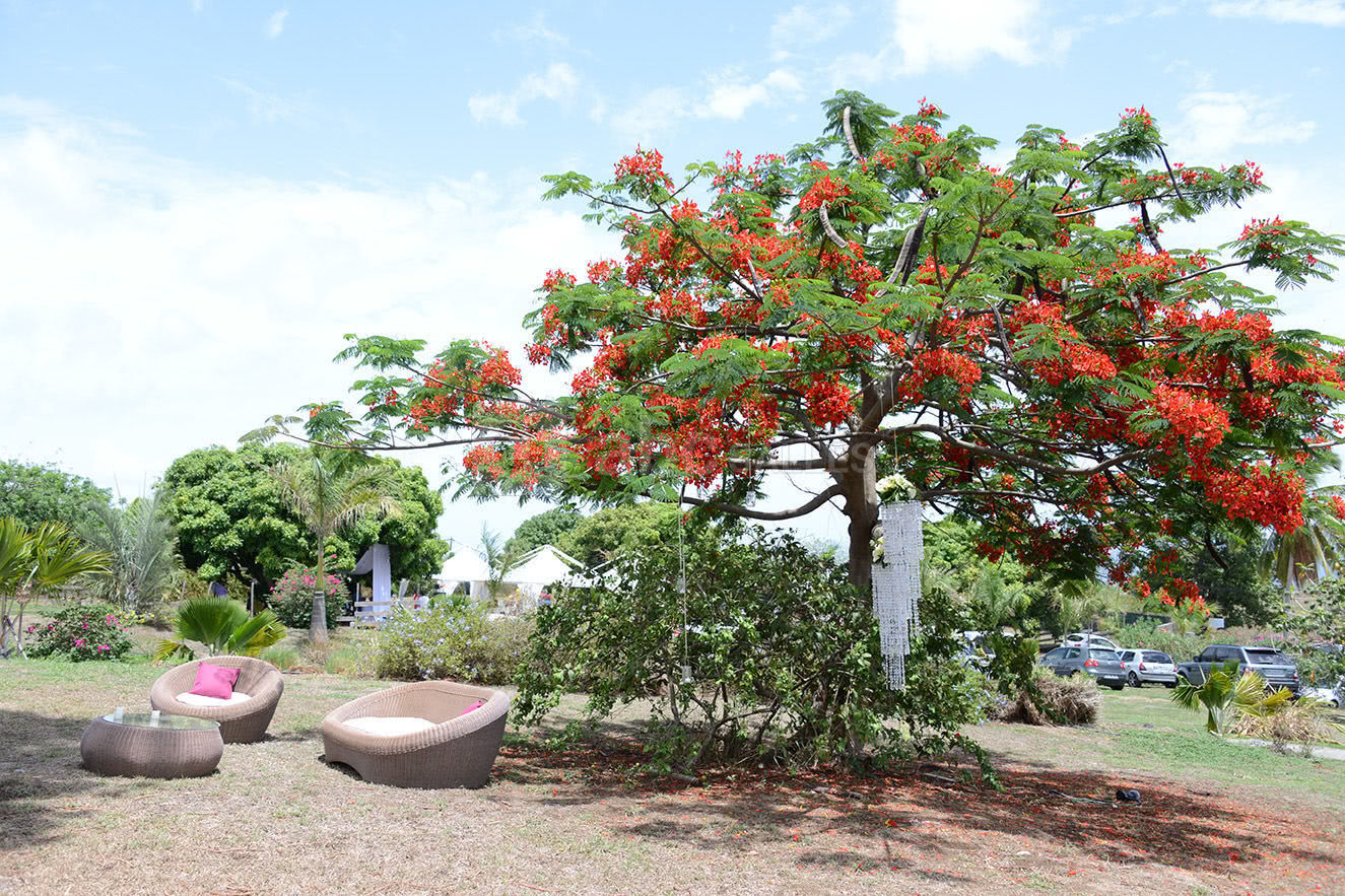 Jardin
