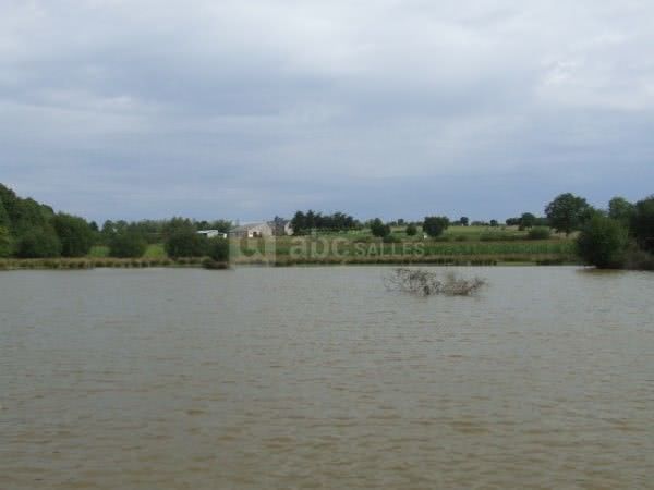 Plan d'eau