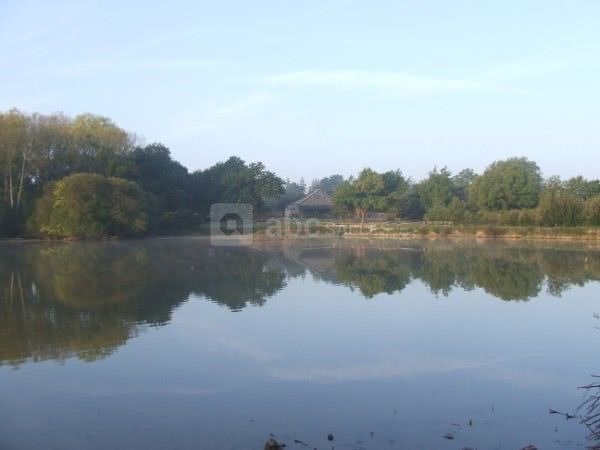 Étang