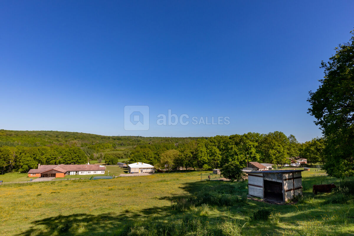 Vue du site