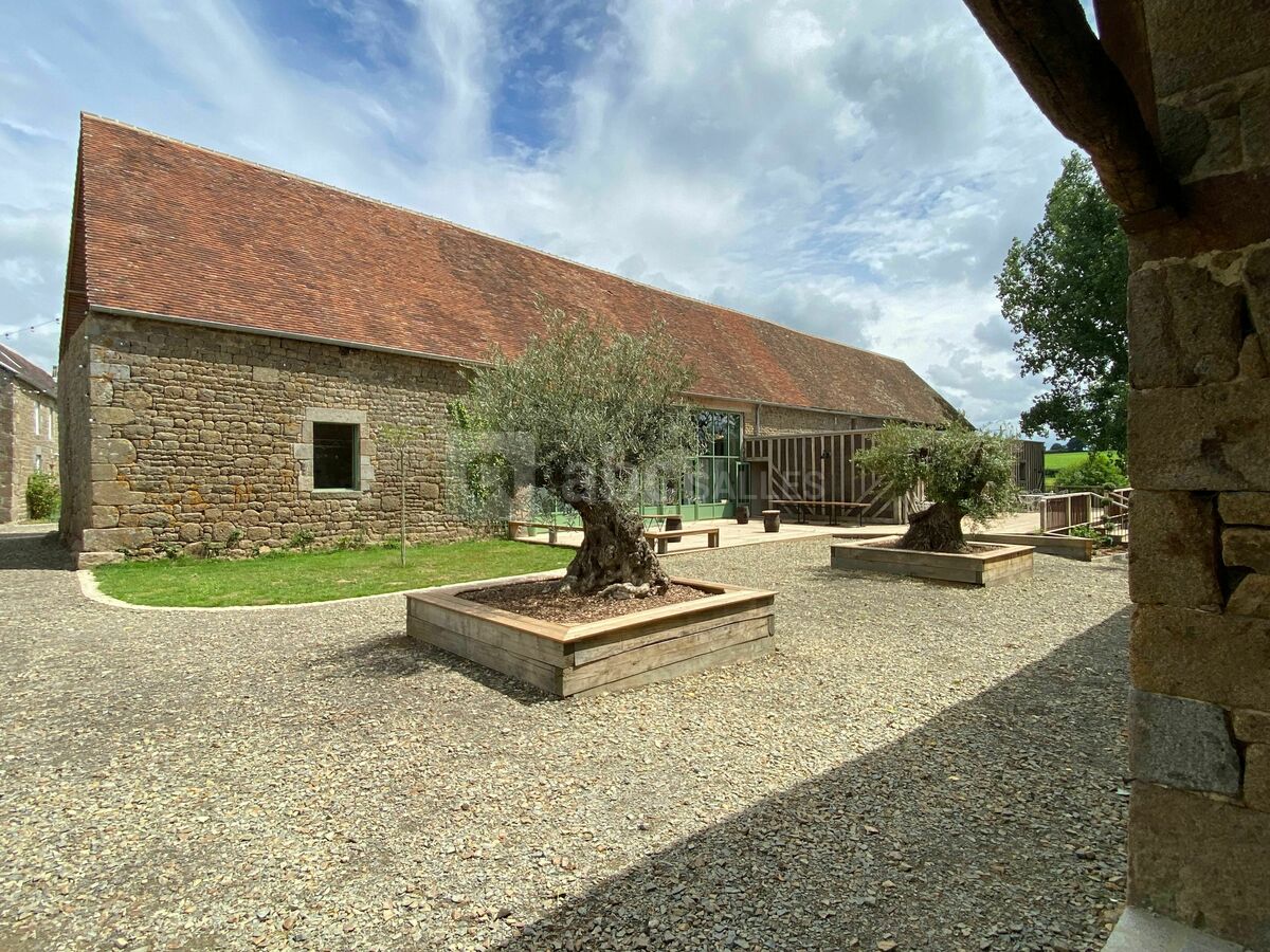 Bancs d'oliviers