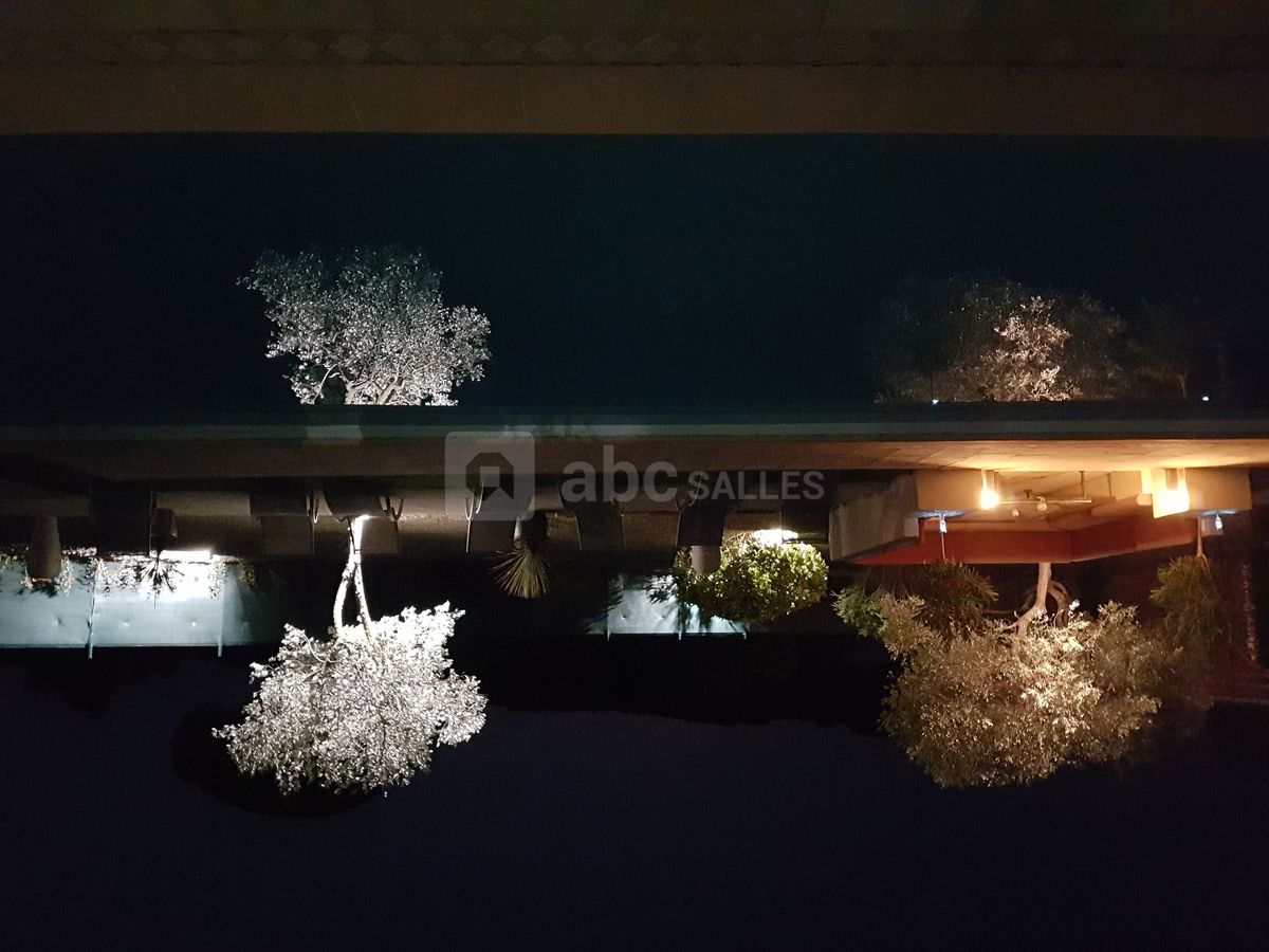 Le jardin illuminé