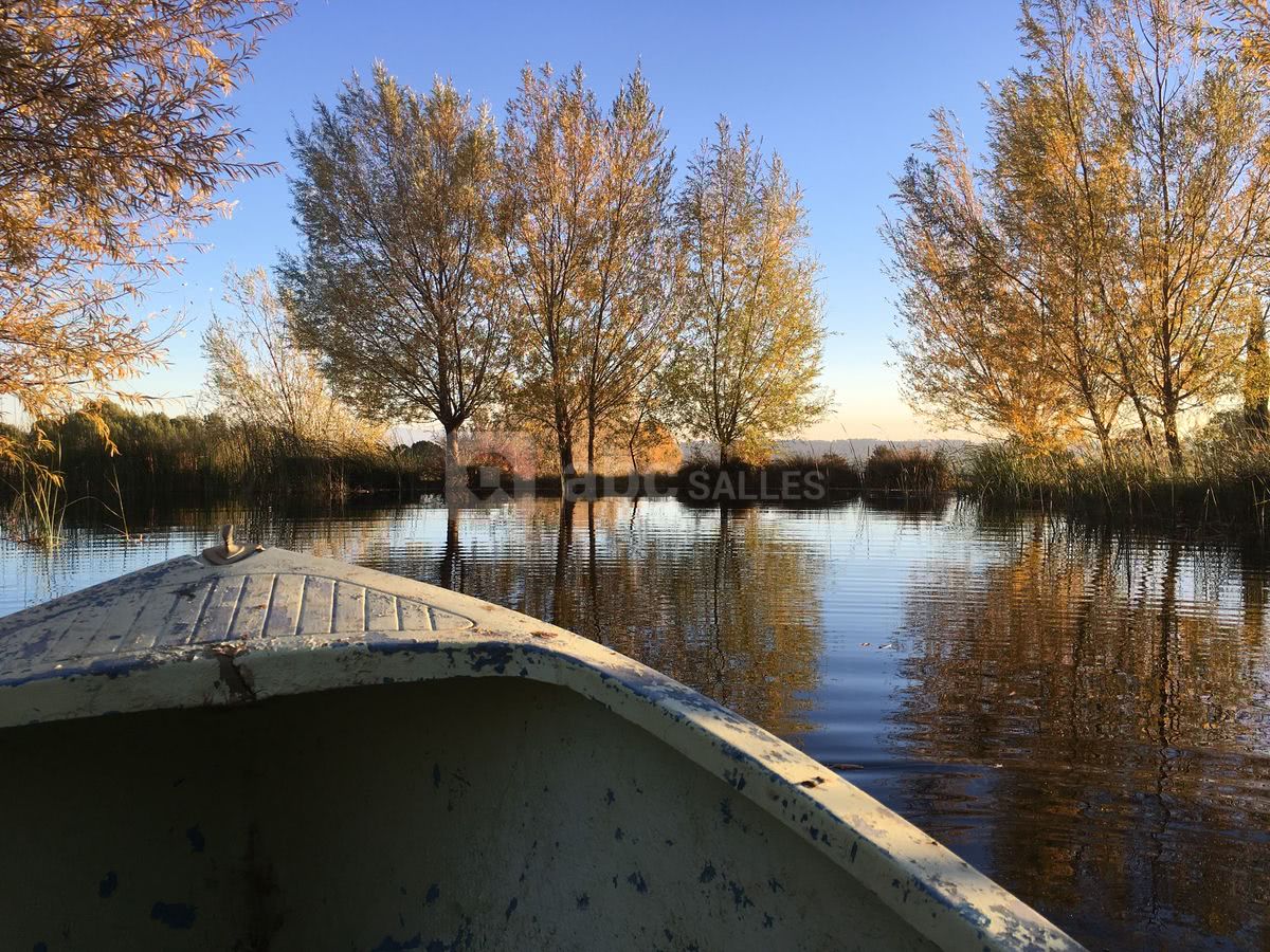 Lac de la propriété