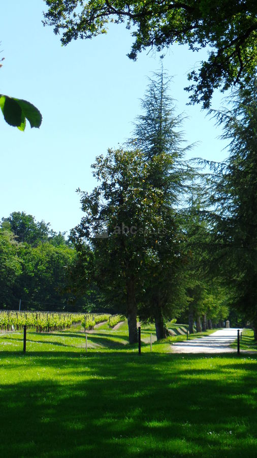 Jardin