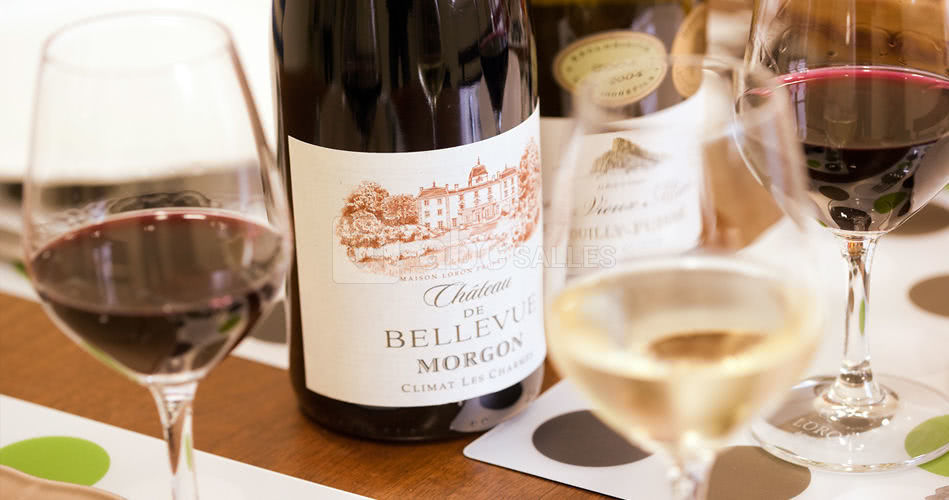 Château de Bellevue