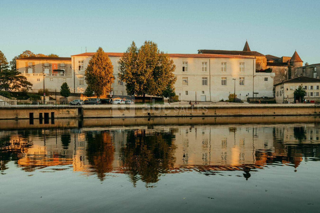Château de cognac