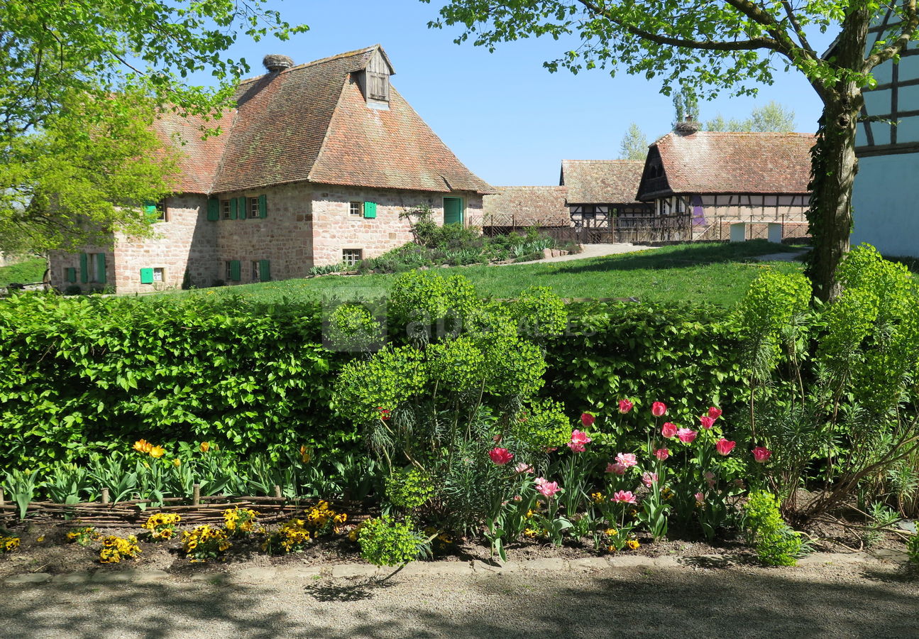 d'Alsace ABC Salles