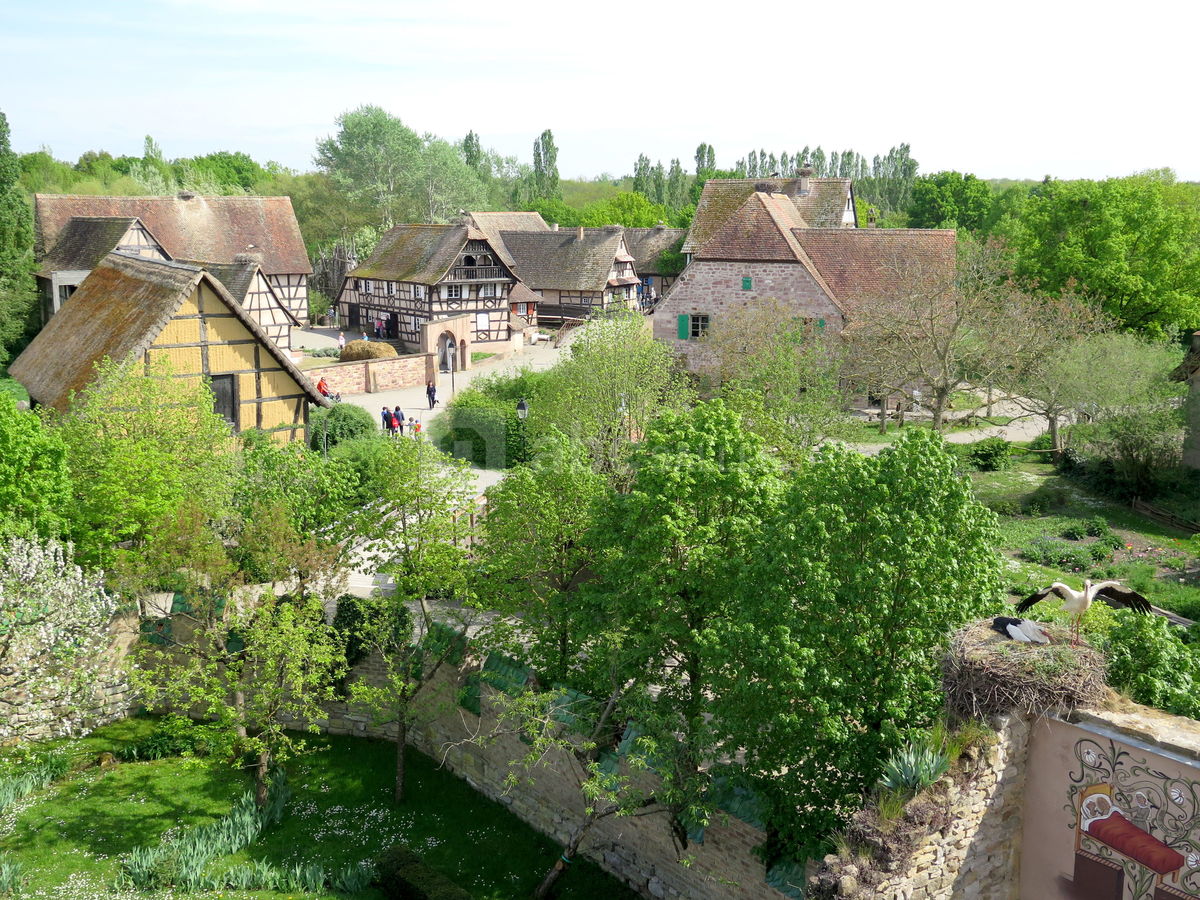 Visite du musée