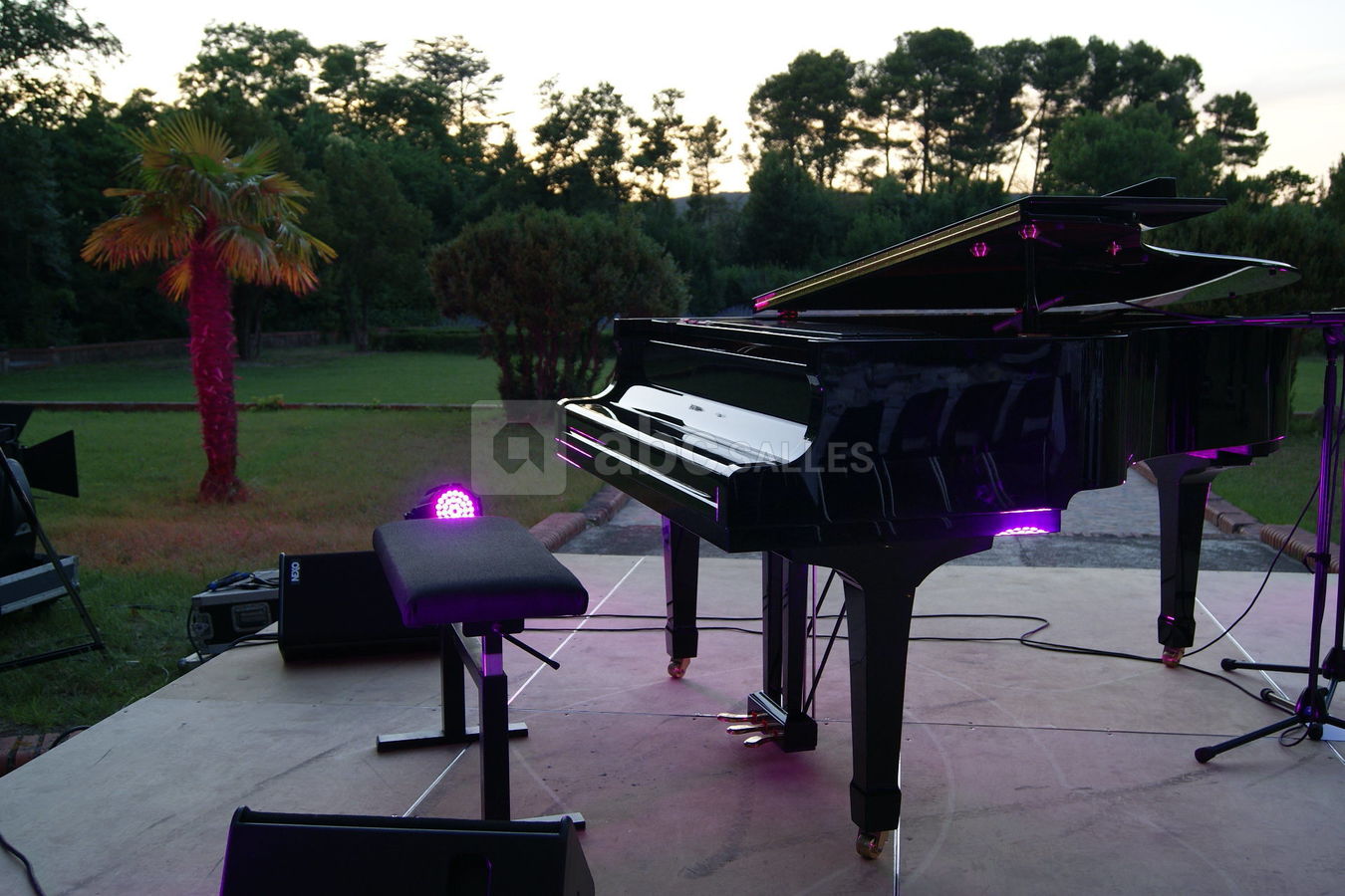 Animation piano dans nos propres lieux ou transportables sur nos prestations diverses exterieures