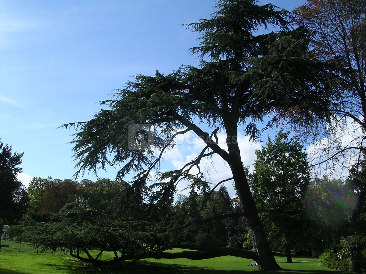 Le parc du chateau