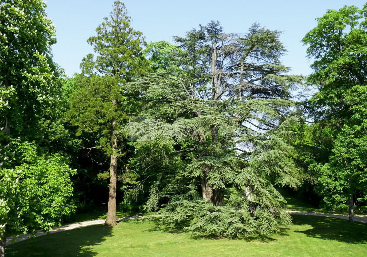 Le Parc