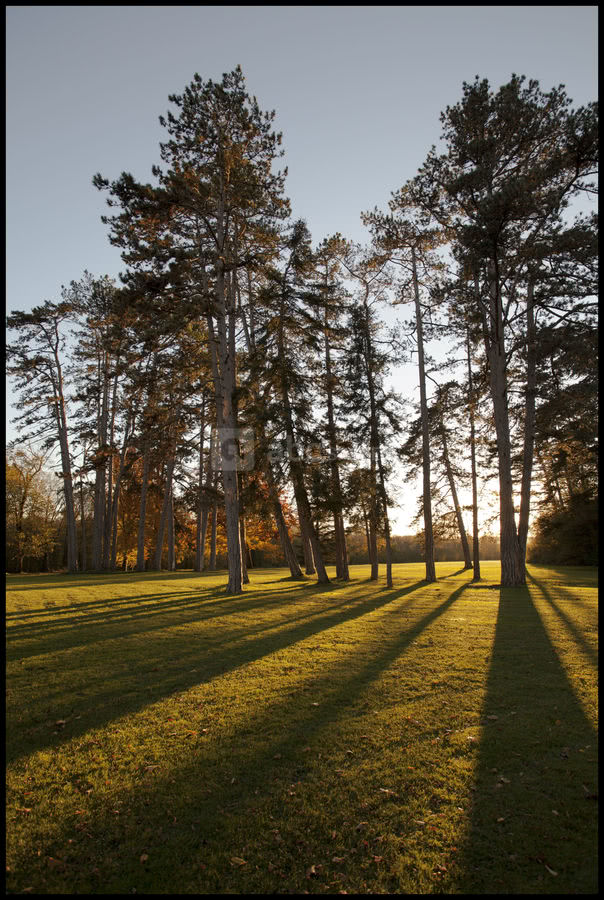 Le Parc