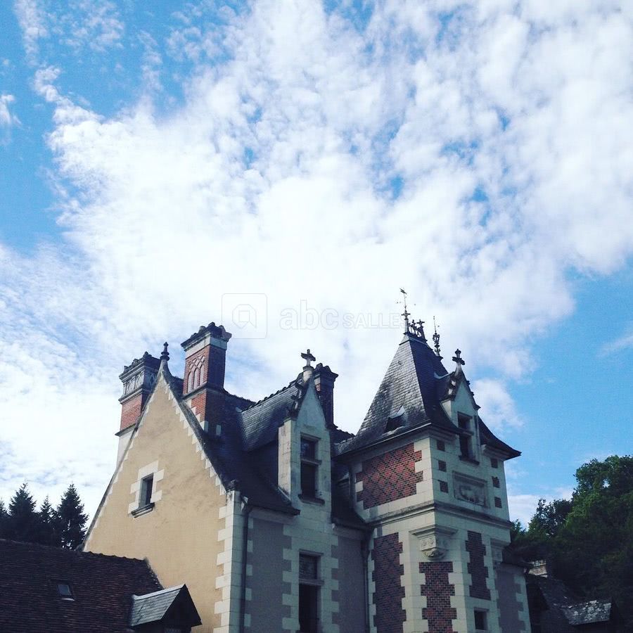 Le château de Troussay