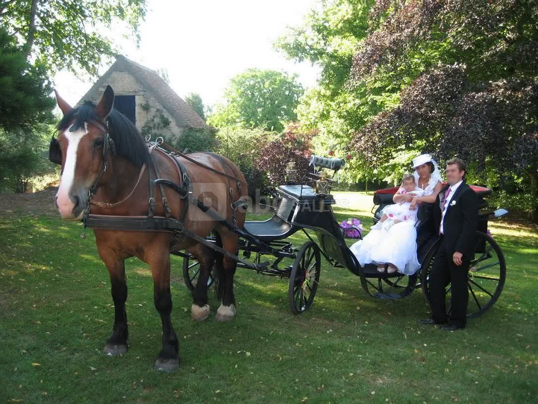 Abbaye de Villers-Canivet