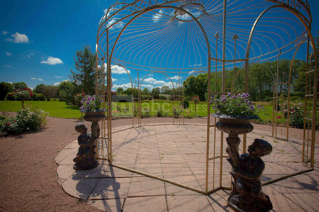 Des Roses et des Tours