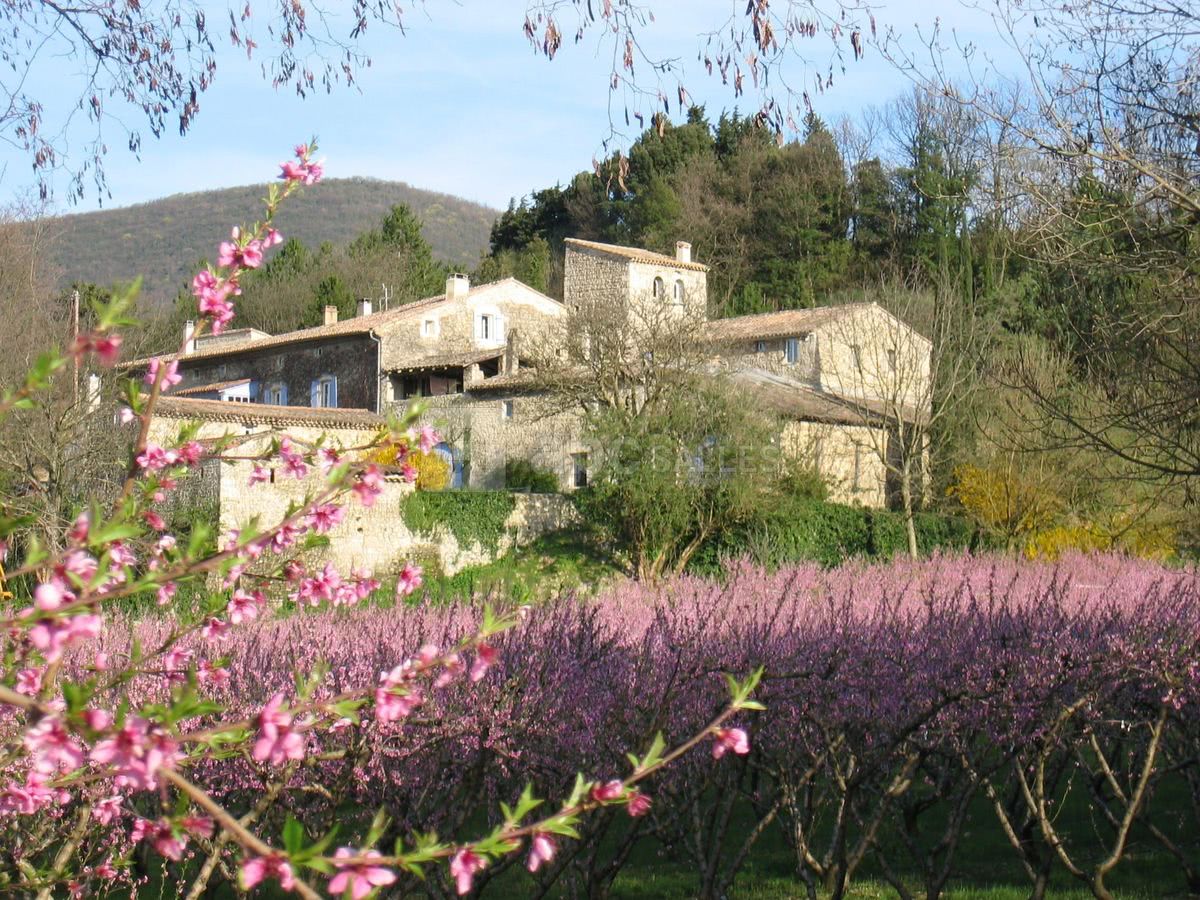 Vue principale