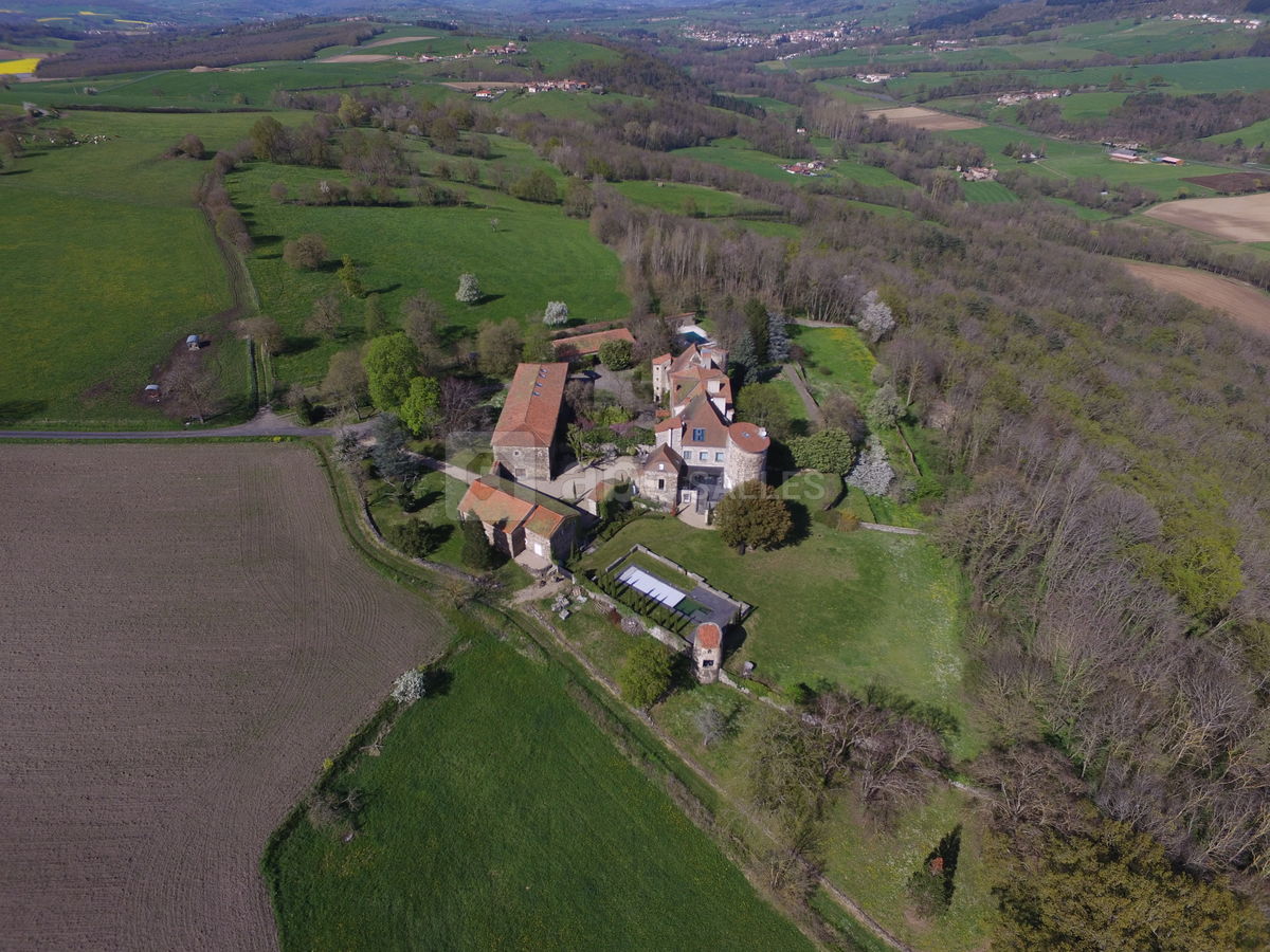 Vue aérienne du Château de Bois Rigaud