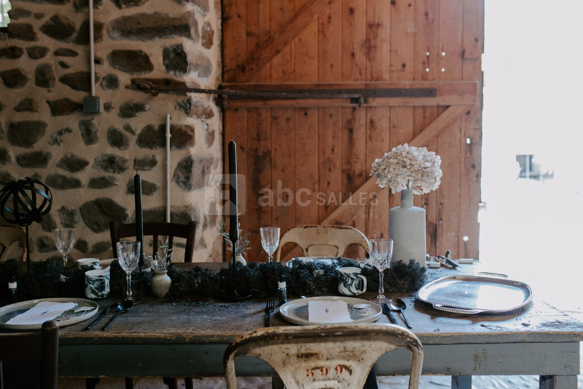 Salle de mariage dans le Puy-de-Dôme au château de Bois Rigaud