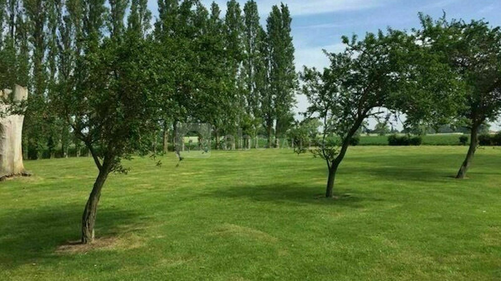 Jardin