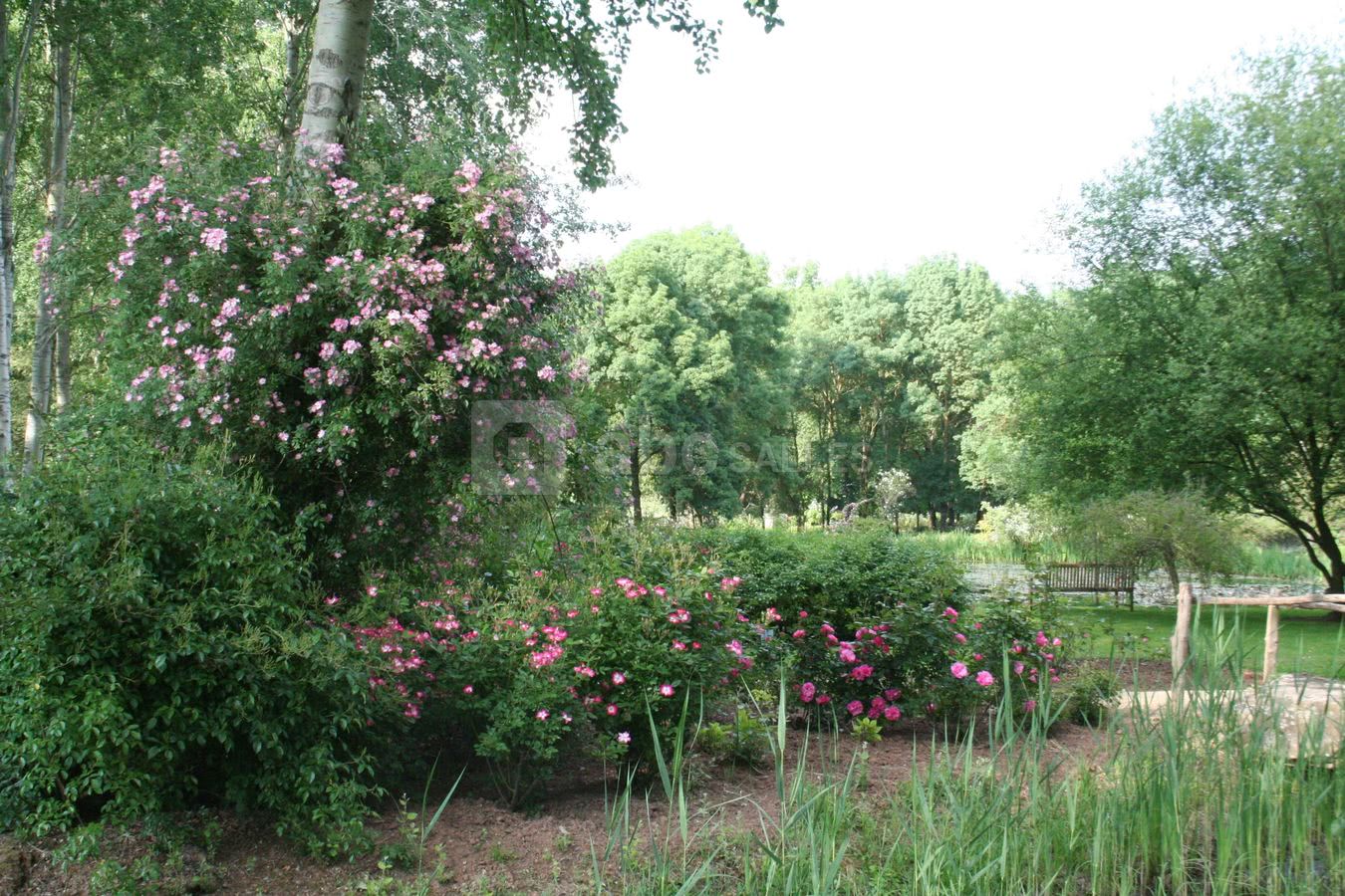 La Roseraie