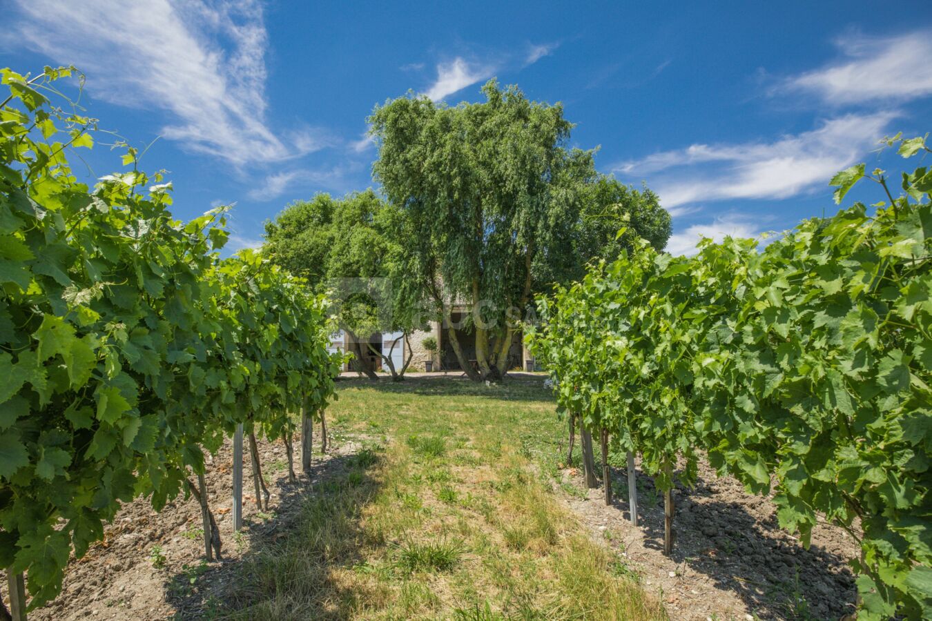 Logis de la Grosse Pierre ABC Salles