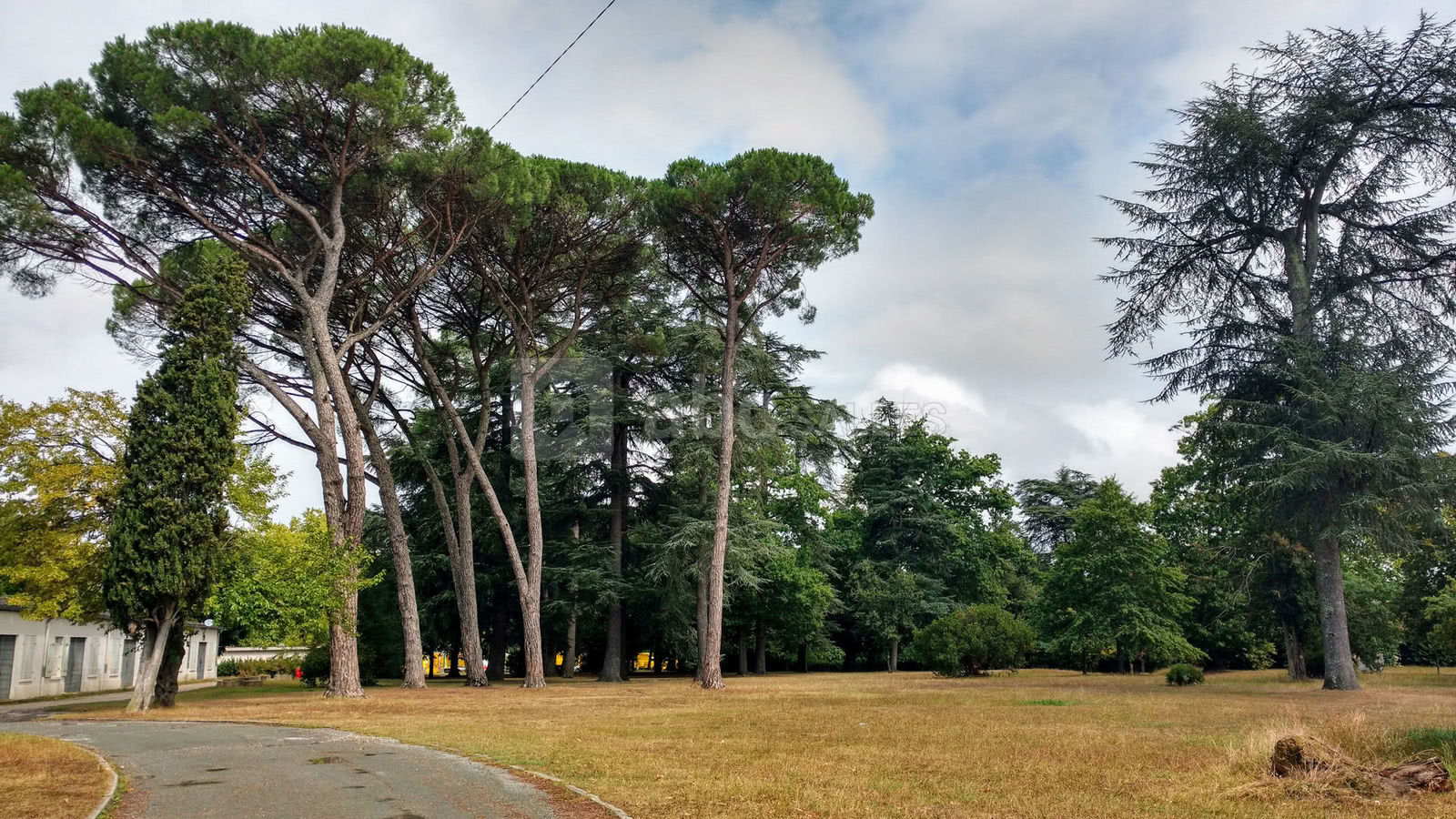 Une salle situé au cœur d'un écrin de verdure
