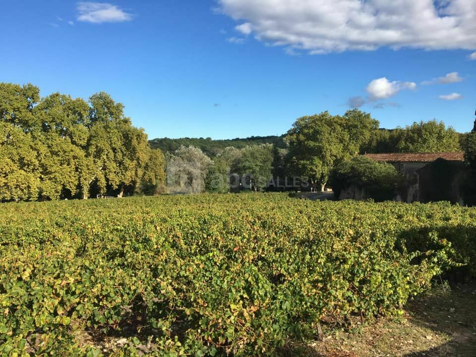 Vue de l'extérieur du Mas