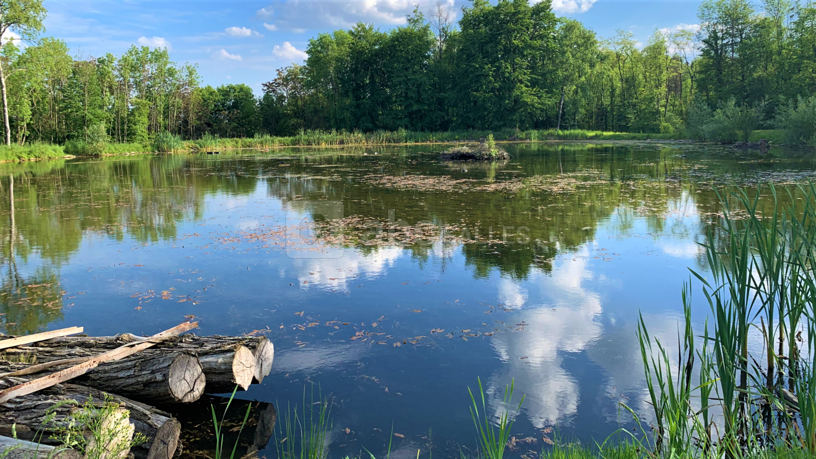Parc du Domaine